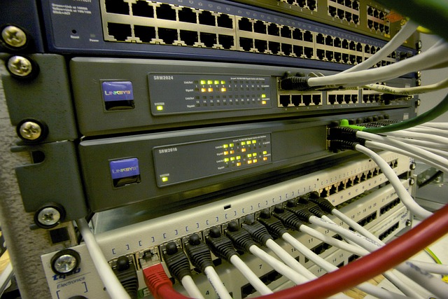 technology, screening, data, security, credentials, verification