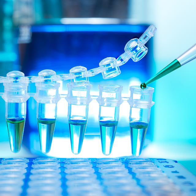 testing, inspection, professional, lab, home, spores