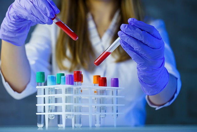 testing, inspection, professional, lab, home, spores
