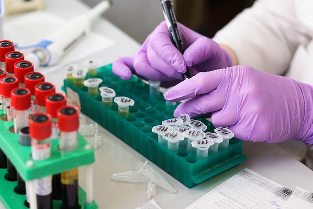 testing-inspection-professional-lab-home-640x480-9557667.jpeg