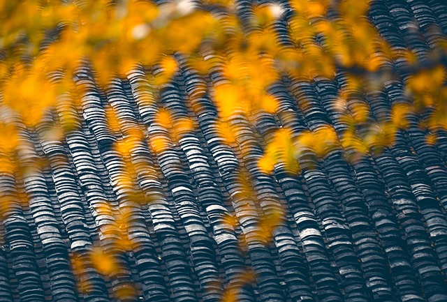tile roof