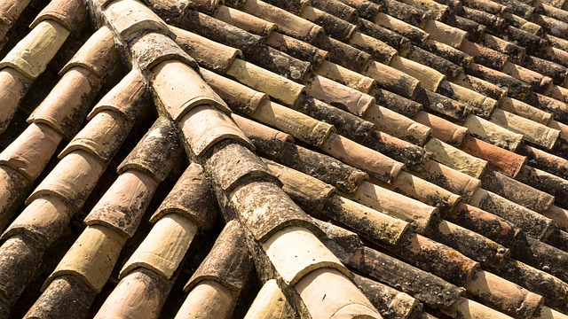 tile roof
