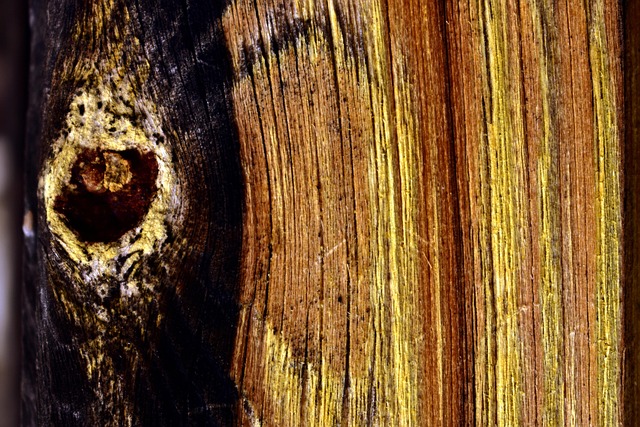 timber