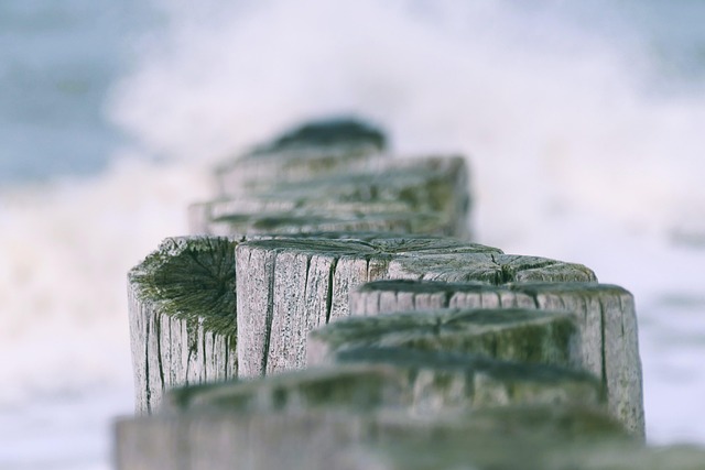 timber