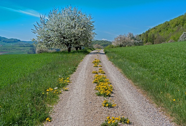 trail