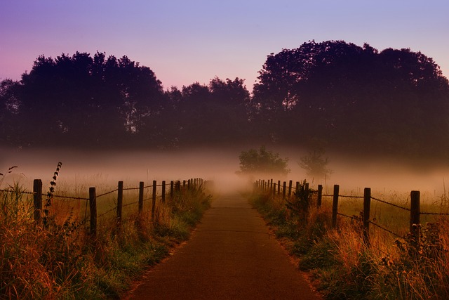 trail
