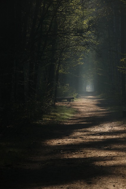 trails
