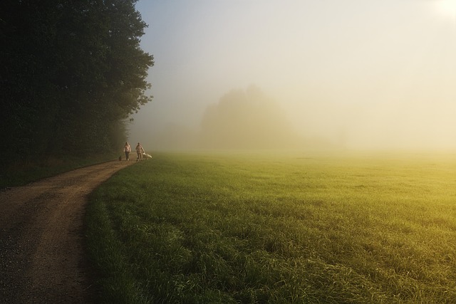 Trails