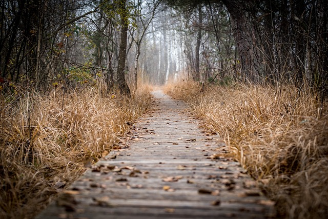 Trails