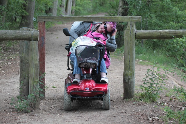 transportation, accessibility, Eugene, Oregon, seniors, disabled