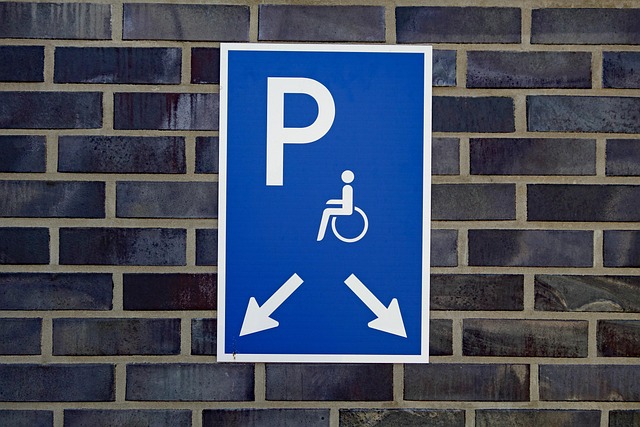Transforming Senior Transport: Mobility Solutions for Eugene, Oregon