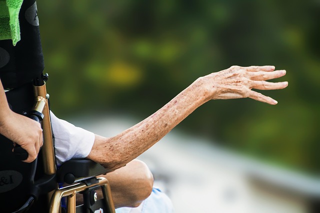 transportation, accessibility, Eugene, Oregon, seniors, disabled