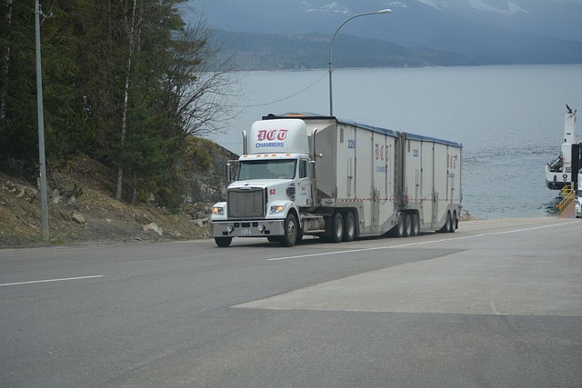 transportation, screening, drivers, safety, compliance, verification