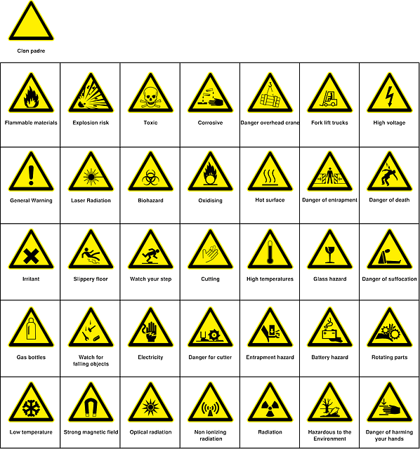 transportation, screening, drivers, safety, compliance, verification