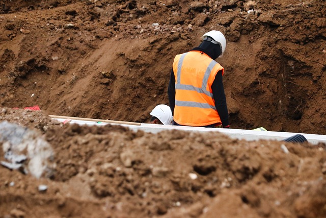 transportation, screening, drivers, safety, compliance, verification