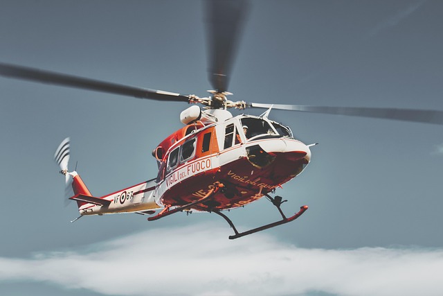 transportation, screening, drivers, safety, compliance, verification