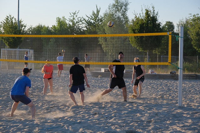 volleyball, Oregon Ducks, Oregon, team, net, sports