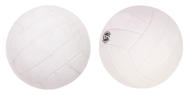 volleyball, Oregon Ducks, Oregon, team, net, sports