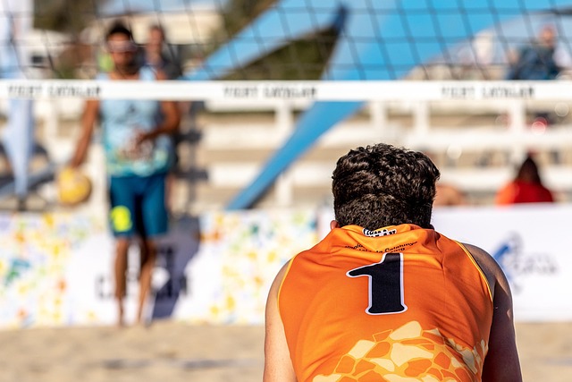volleyball, Oregon Ducks, Oregon, team, net, sports