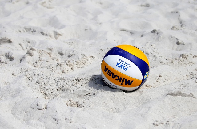 volleyball, Oregon Ducks, Oregon, team, net, sports