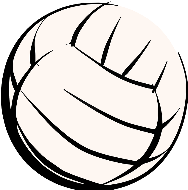volleyball, Oregon Ducks, Oregon, team, net, sports