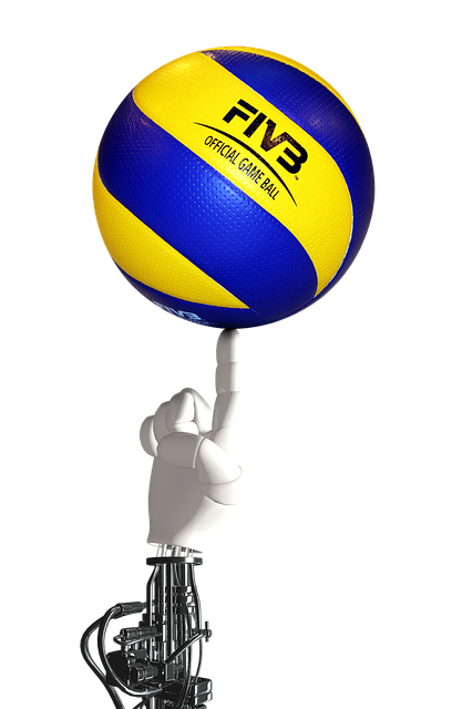 volleyball, Oregon Ducks, Oregon, team, net, sports