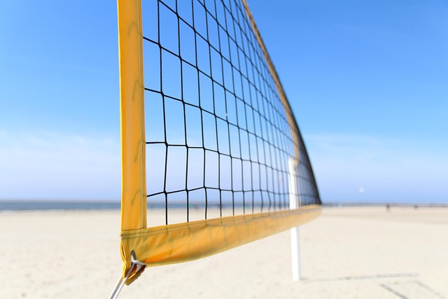 volleyball, Oregon Ducks, Oregon, team, net, sports