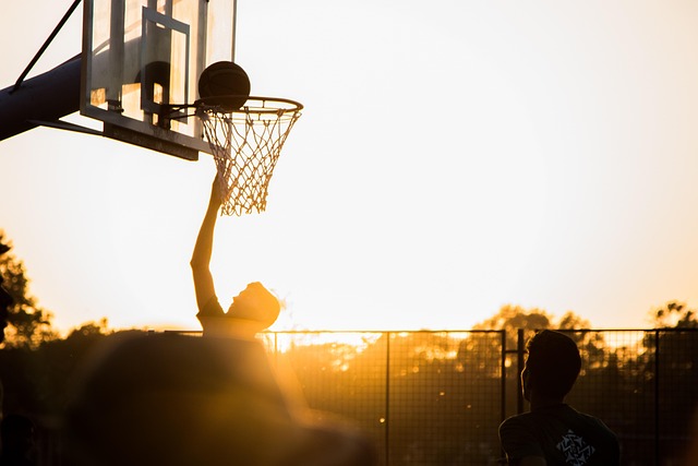volleyball, Oregon Ducks, Oregon, team, net, sports