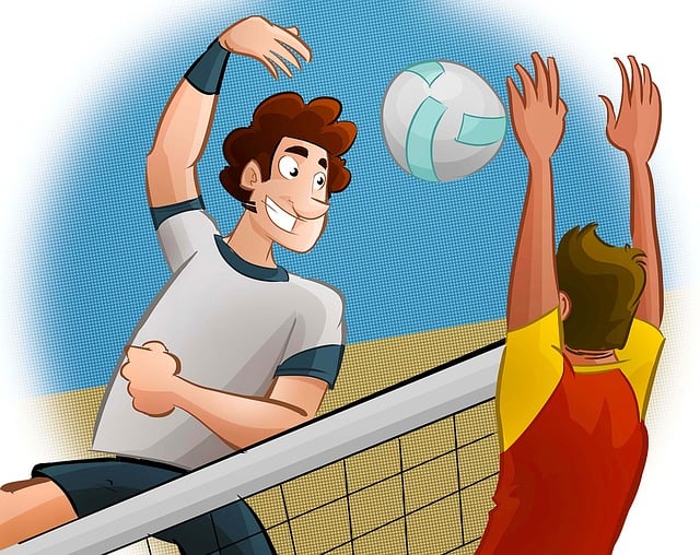 volleyball, Oregon Ducks, Oregon, team, net, sports