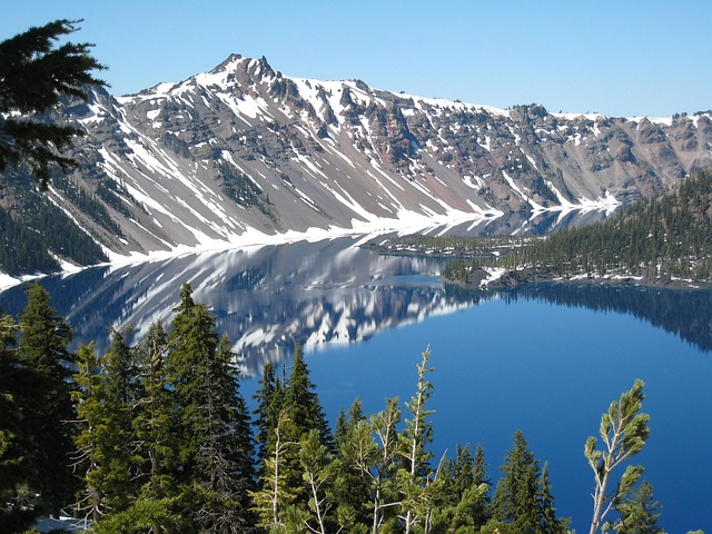 volunteer-seniors-eugene-oregon-communit-640x480-97486807.jpeg