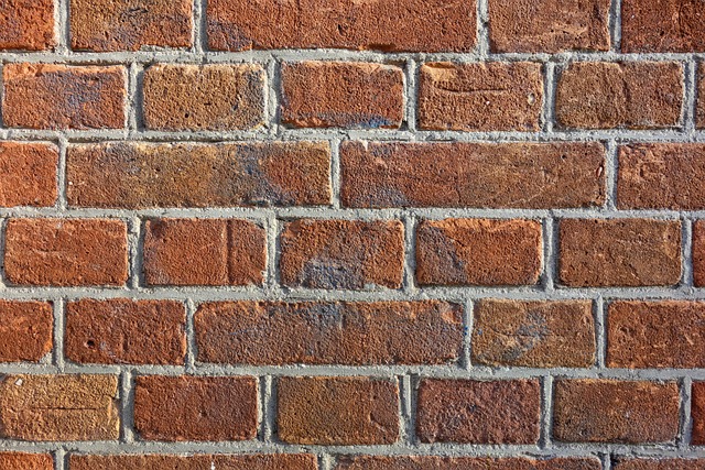 wall, ceiling, mold, damage, moisture, stains