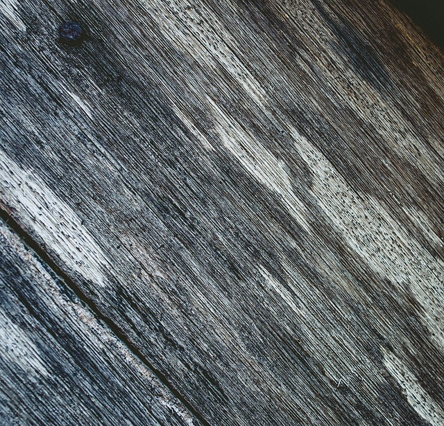 wall, ceiling, mold, damage, moisture, stains