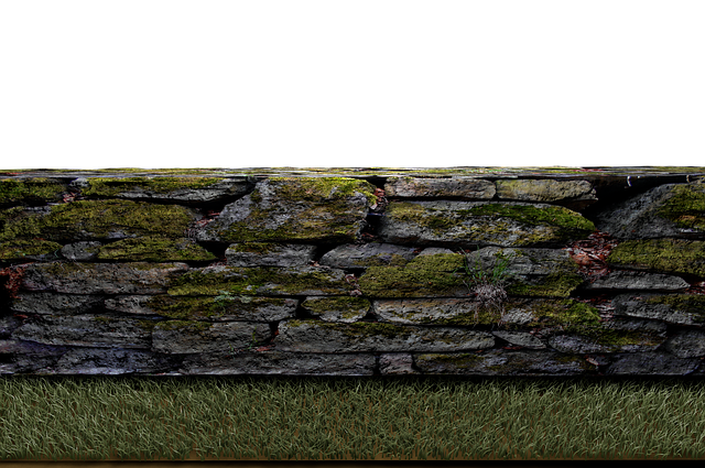walls
