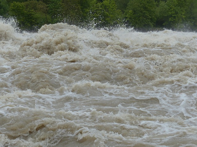 water, damage, flood, leak, moisture, mold