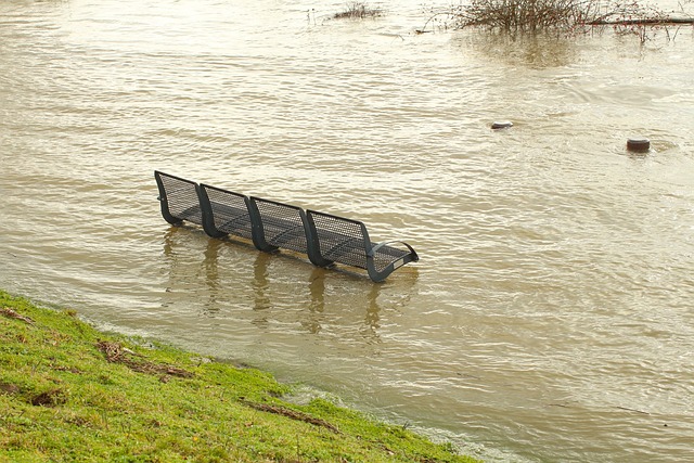 water, damage, flood, leak, moisture, mold