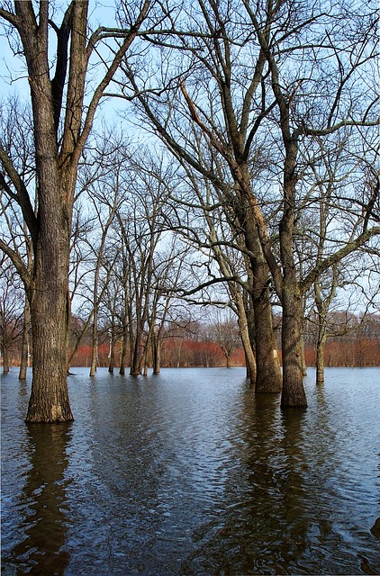 water, damage, flood, leak, moisture, mold