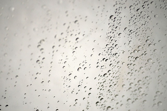 water, damage, flood, leak, moisture, mold
