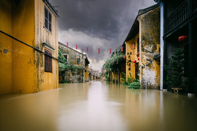 water, damage, flood, leak, moisture, mold