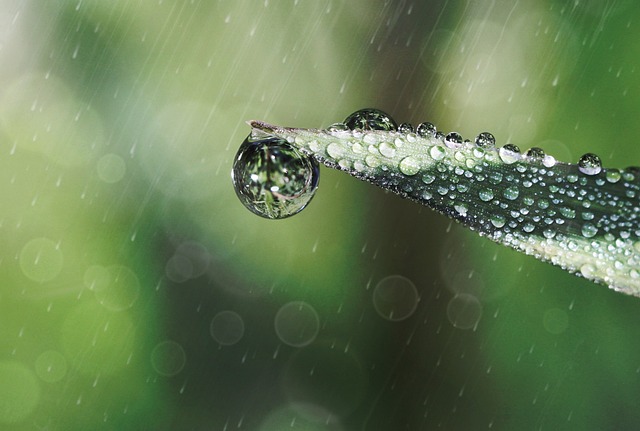 water, damage, flood, leak, moisture, mold