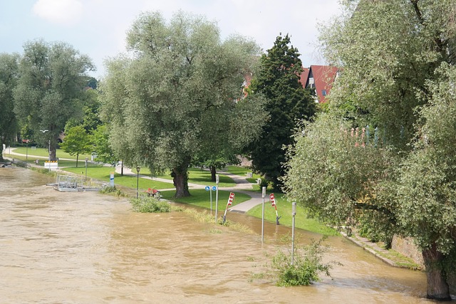 water, damage, flood, leak, moisture, mold