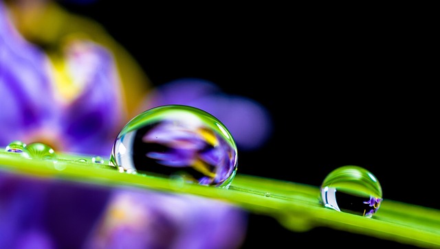 water, damage, flood, leak, moisture, mold
