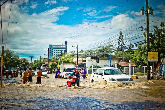 water, damage, flood, leak, moisture, mold