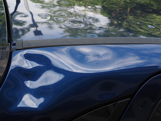 water, damage, flood, leak, moisture, mold