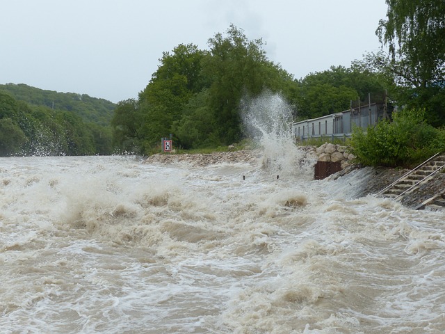 water, damage, flood, leak, moisture, mold