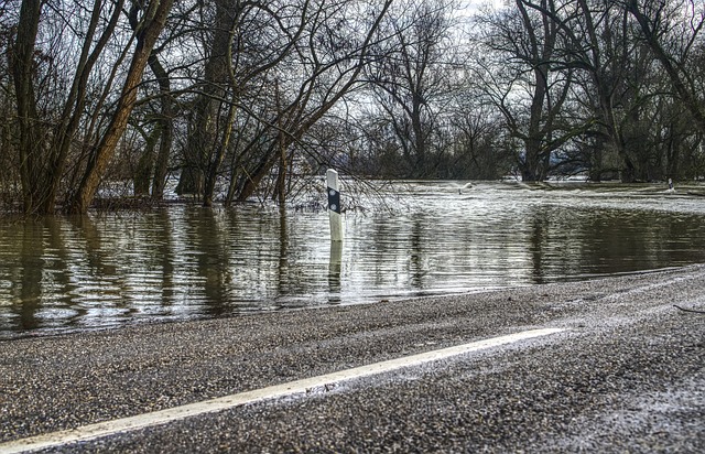 water, damage, flood, leak, moisture, mold