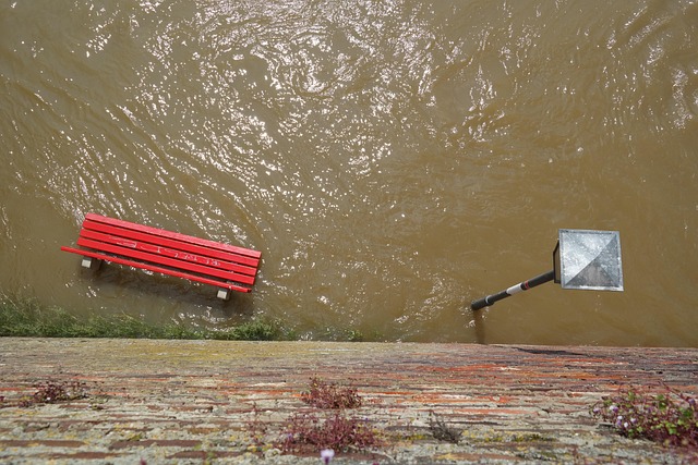 water, damage, flood, leak, moisture, mold