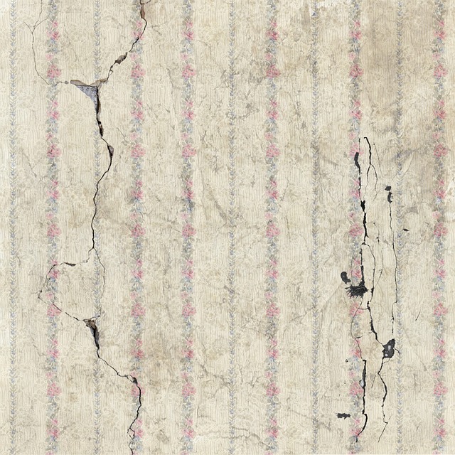 water, damage, flood, leak, moisture, mold