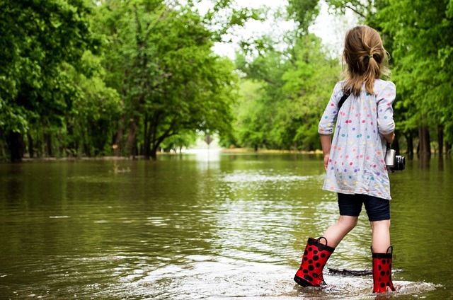 water, damage, flood, leak, moisture, mold