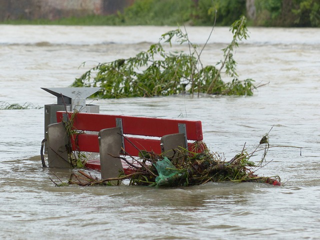 water-damage-flood-leak-moisture-mold-640x480-98280437.jpeg