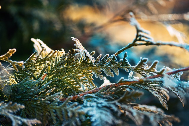 weather, plumbing, rain, frost, cold, humidity